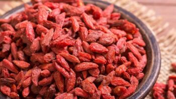 توت الكوجي - Goji Berries - baie de goji